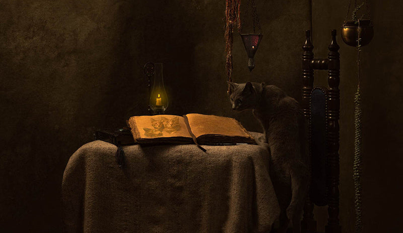 LE CHAT L'HEUREUX GRIMOIRE