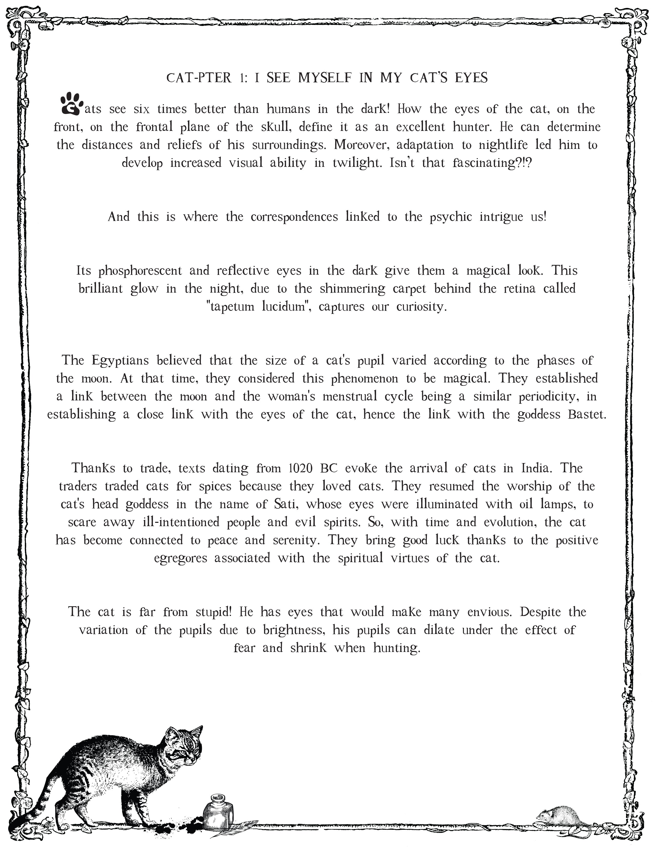 LE CHAT L'HEUREUX GRIMOIRE: Chat-pitre 1