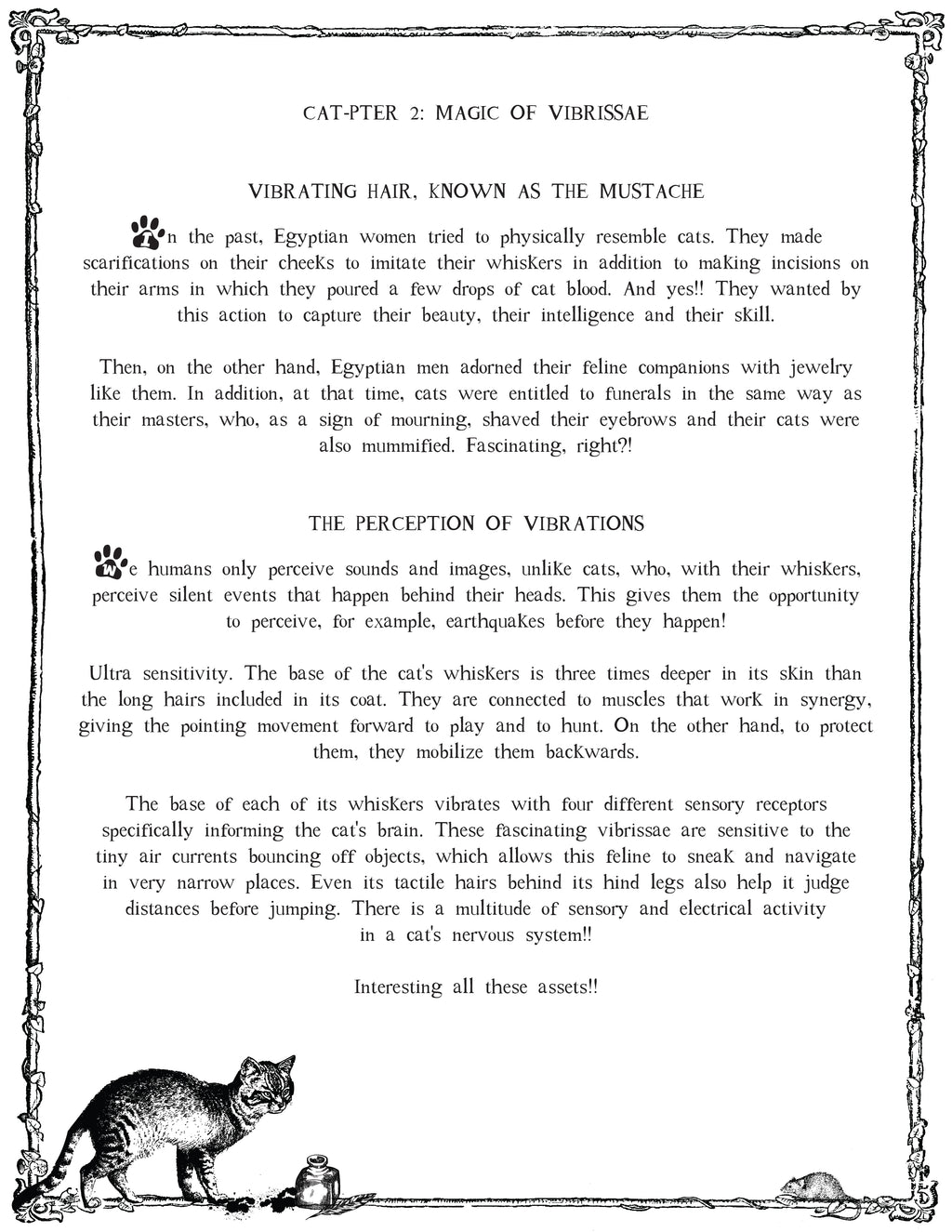 The CAT TALES GRIMOIRE: Cat-pter 2