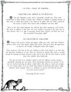 The CAT TALES GRIMOIRE: Cat-pter 2