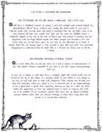 LE CHAT L'HEUREUX GRIMOIRE: Chat-pitre 4