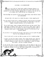 LE CHAT L'HEUREUX GRIMOIRE: Chat-pitre 5