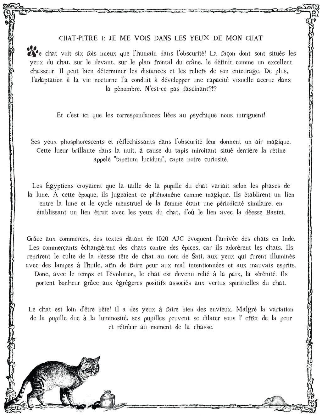The CAT TALES GRIMOIRE: Cat-pter 1