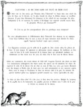 The CAT TALES GRIMOIRE: Cat-pter 1