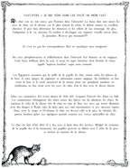 The CAT TALES GRIMOIRE: Cat-pter 1
