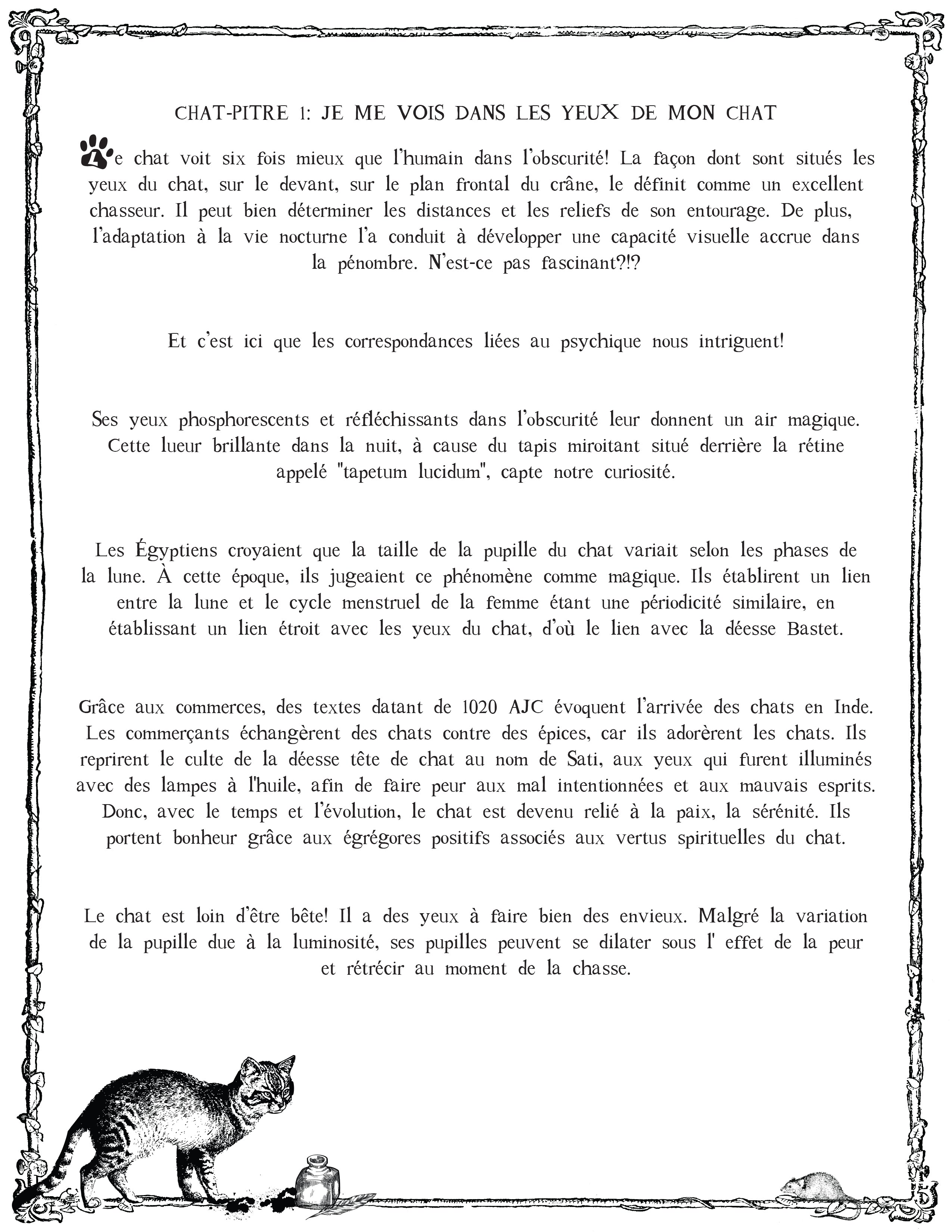 LE CHAT L'HEUREUX GRIMOIRE: Chat-pitre 1