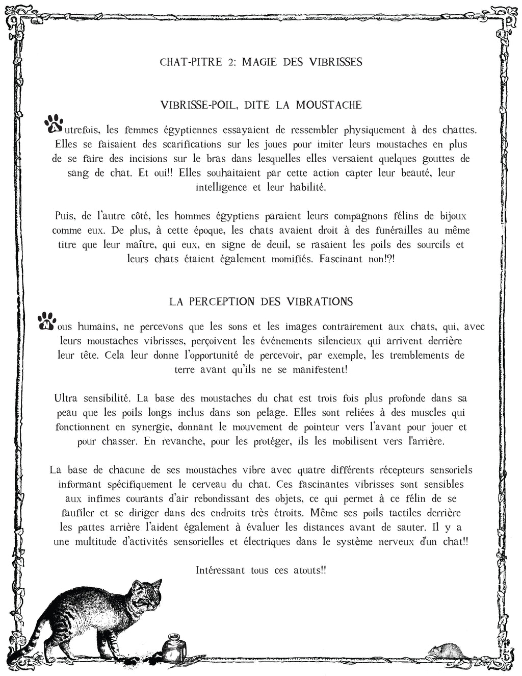 The CAT TALES GRIMOIRE: Cat-pter 2