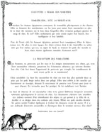 The CAT TALES GRIMOIRE: Cat-pter 2