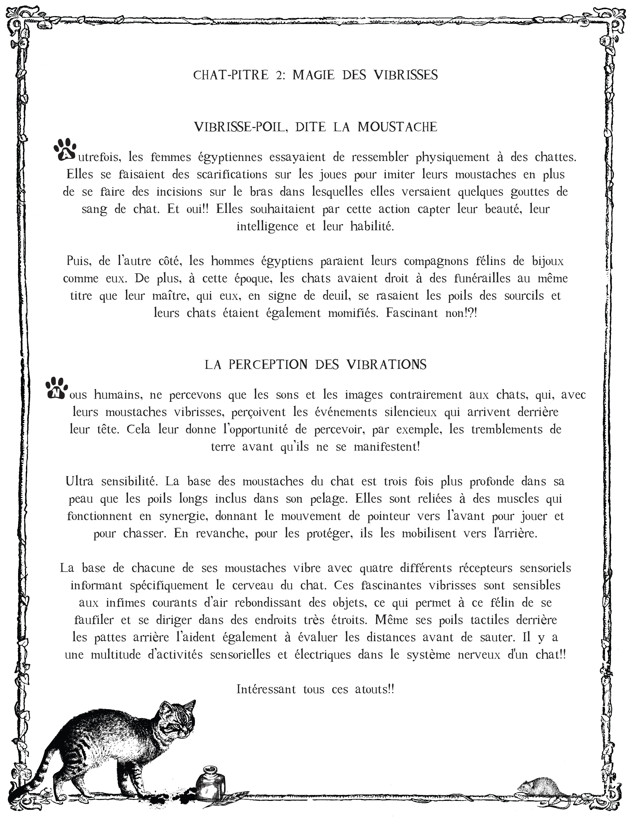 LE CHAT L'HEUREUX GRIMOIRE: Chat-pitre 2