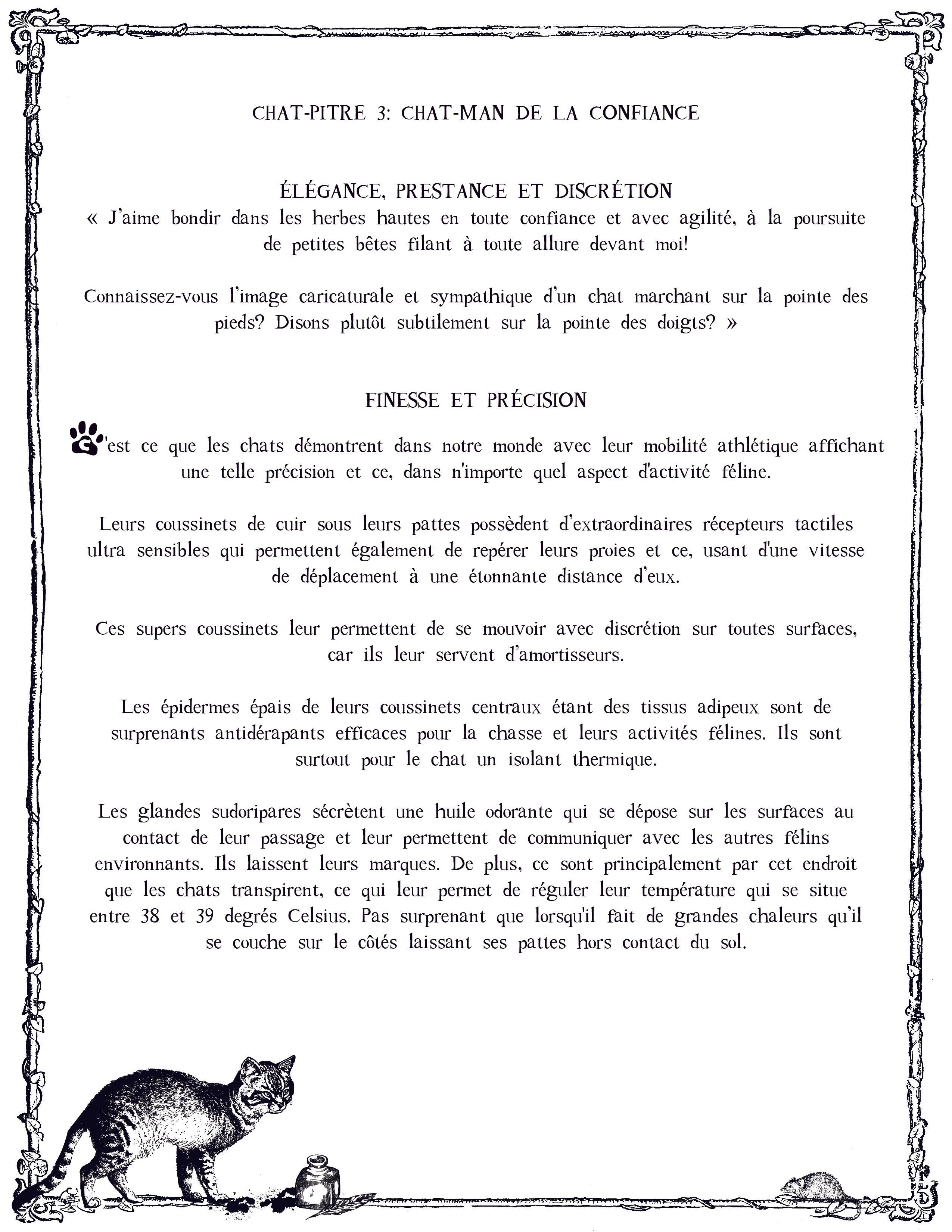 LE CHAT L'HEUREUX GRIMOIRE: Chat-pitre 3