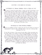LE CHAT L'HEUREUX GRIMOIRE: Chat-pitre 4