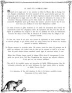 The CAT TALES GRIMOIRE: Cat and Witchcraft