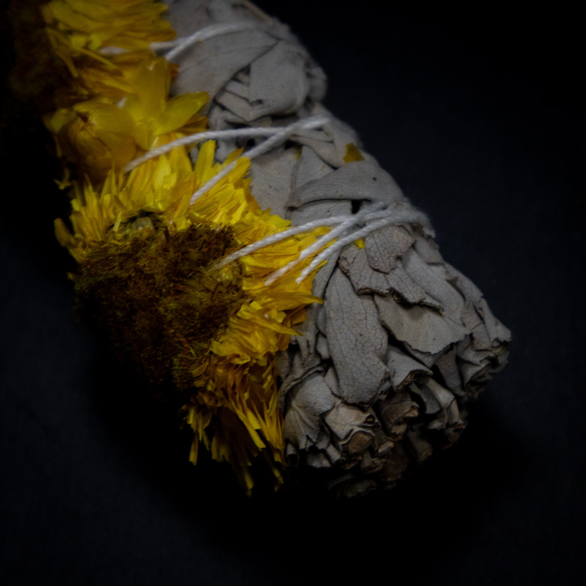 EVERLASTING and SAGE Fumigation Stick