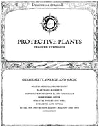 PLANTES DE PROTECTION : Spiritualité, énergie et magie