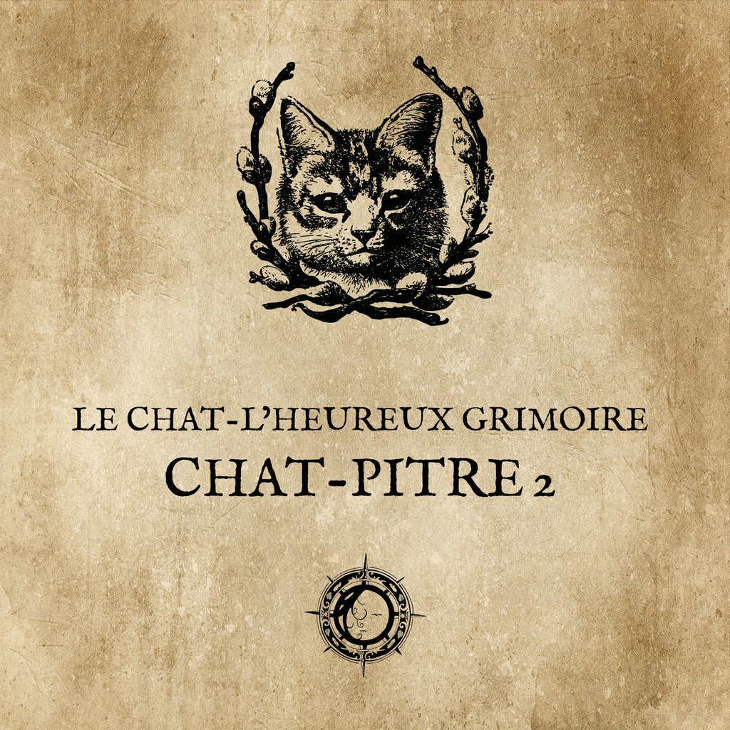 The CAT TALES GRIMOIRE: Cat-pter 2