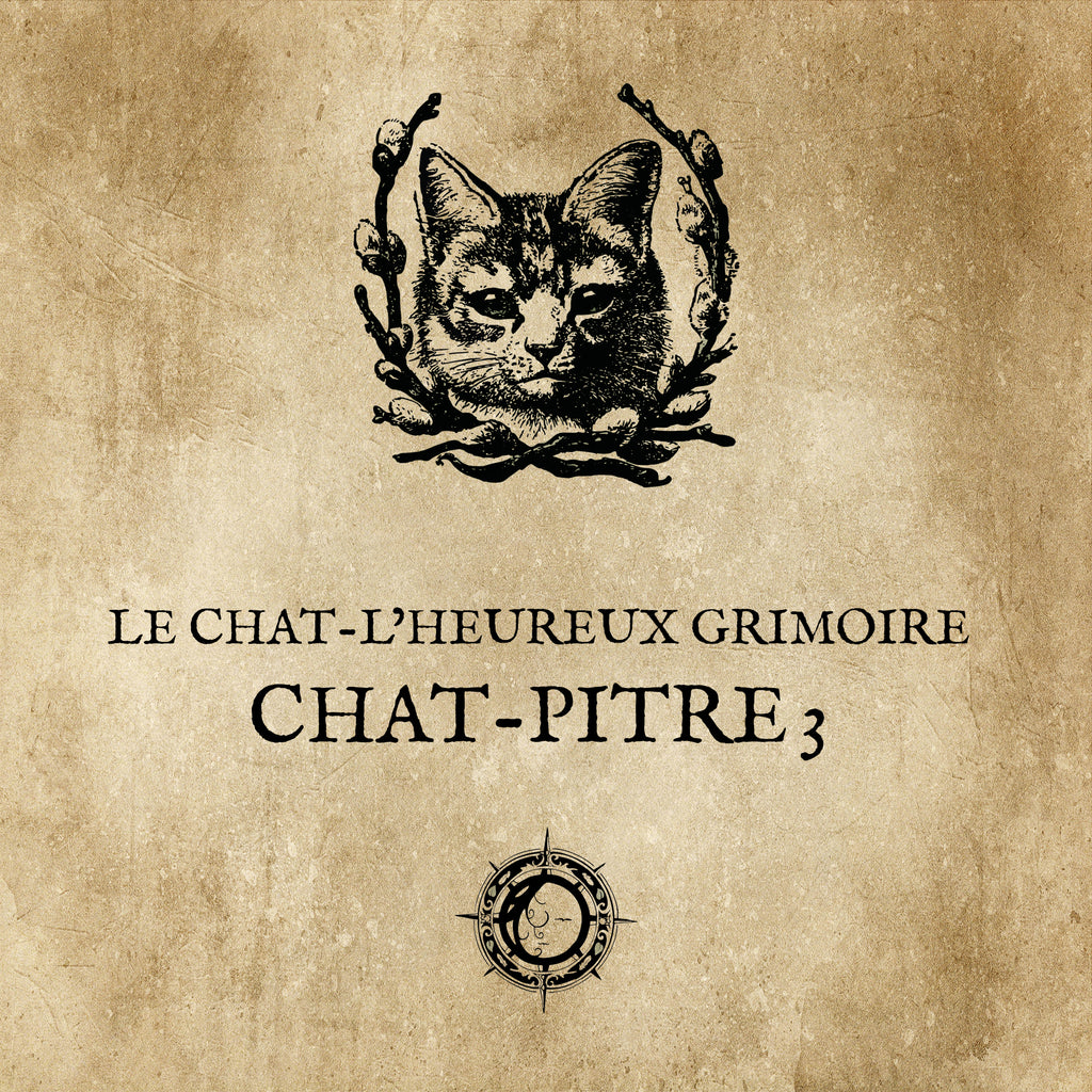 The CAT TALES GRIMOIRE: Cat-pter 3