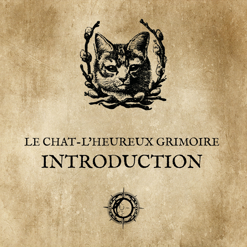 The CAT TALES GRIMOIRE: Initiative collection