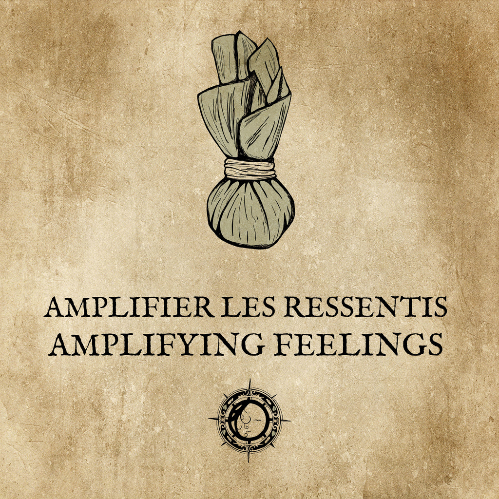 AMPLIFIER LES RESSENTIS : Rehausser son expérience intuitive