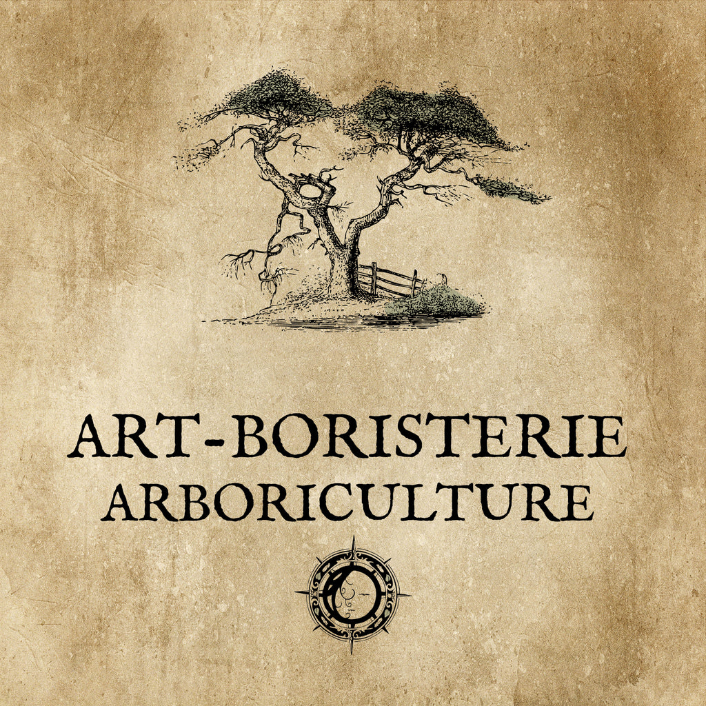 ARTBORICULTURE: In the heart of the forest