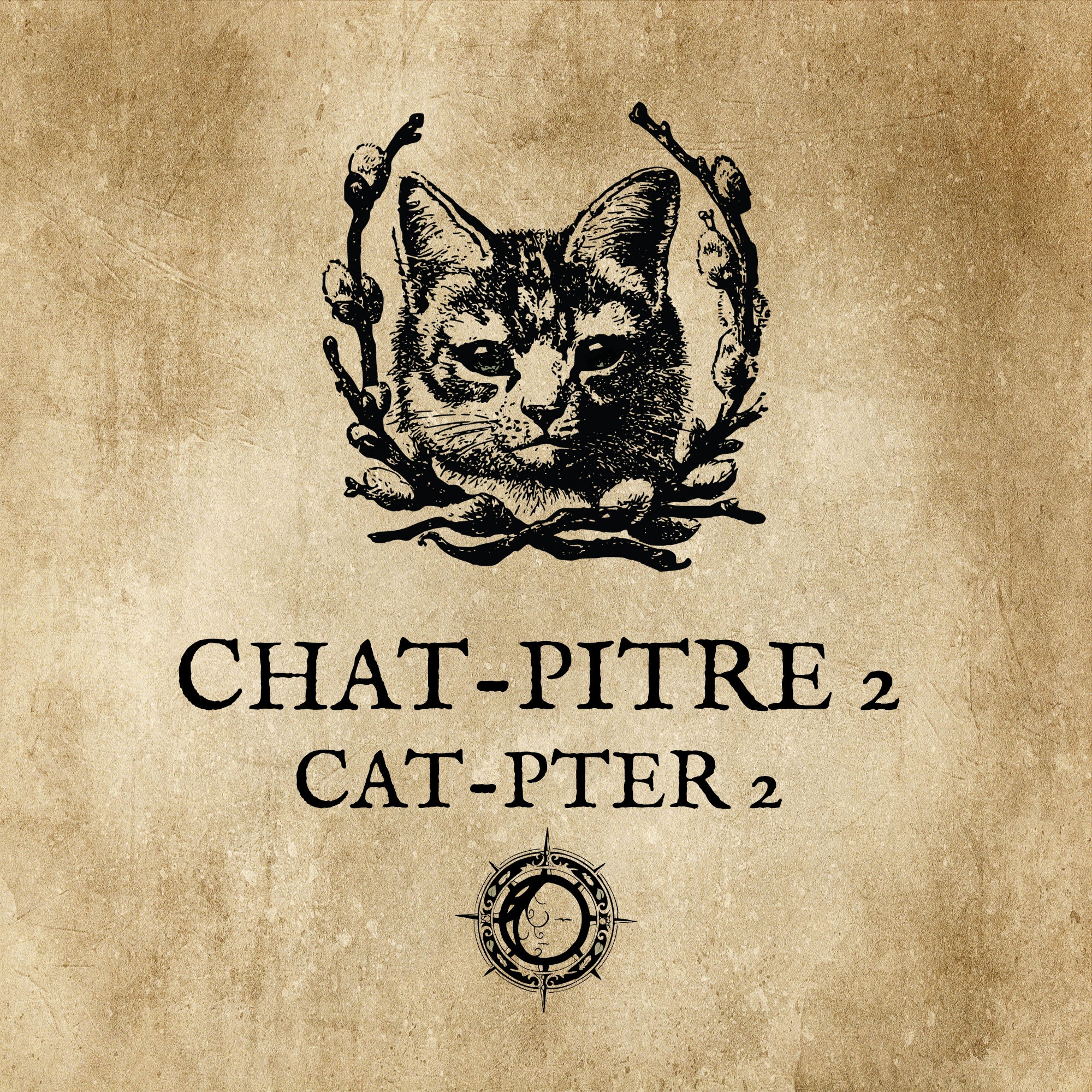 LE CHAT L'HEUREUX GRIMOIRE: Chat-pitre 2