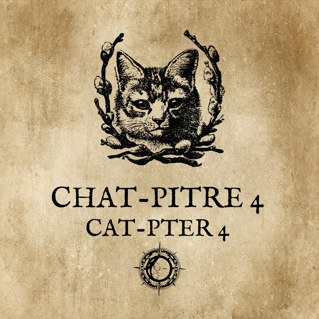 LE CHAT L'HEUREUX GRIMOIRE: Chat-pitre 4