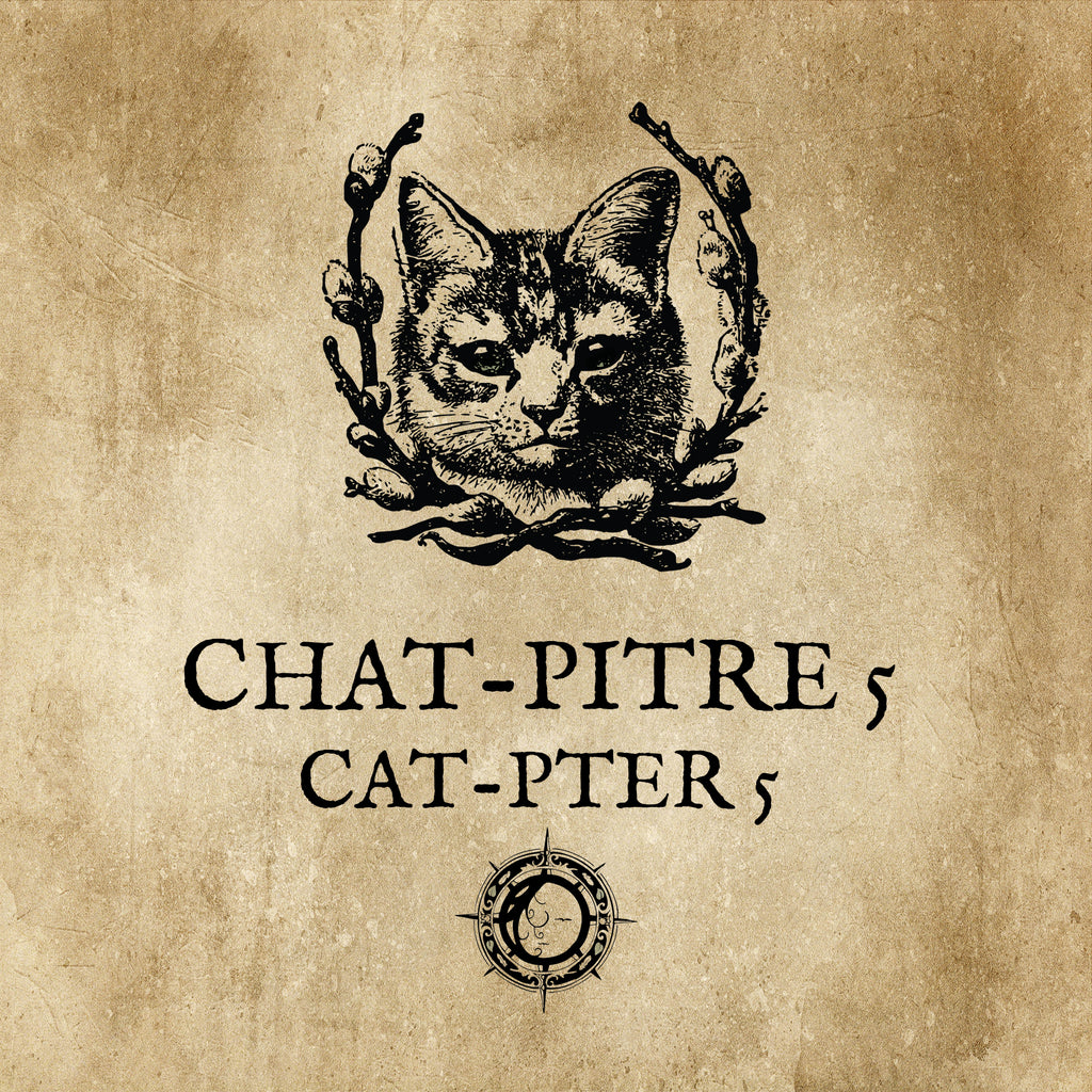 LE CHAT L'HEUREUX GRIMOIRE: Chat-pitre 5