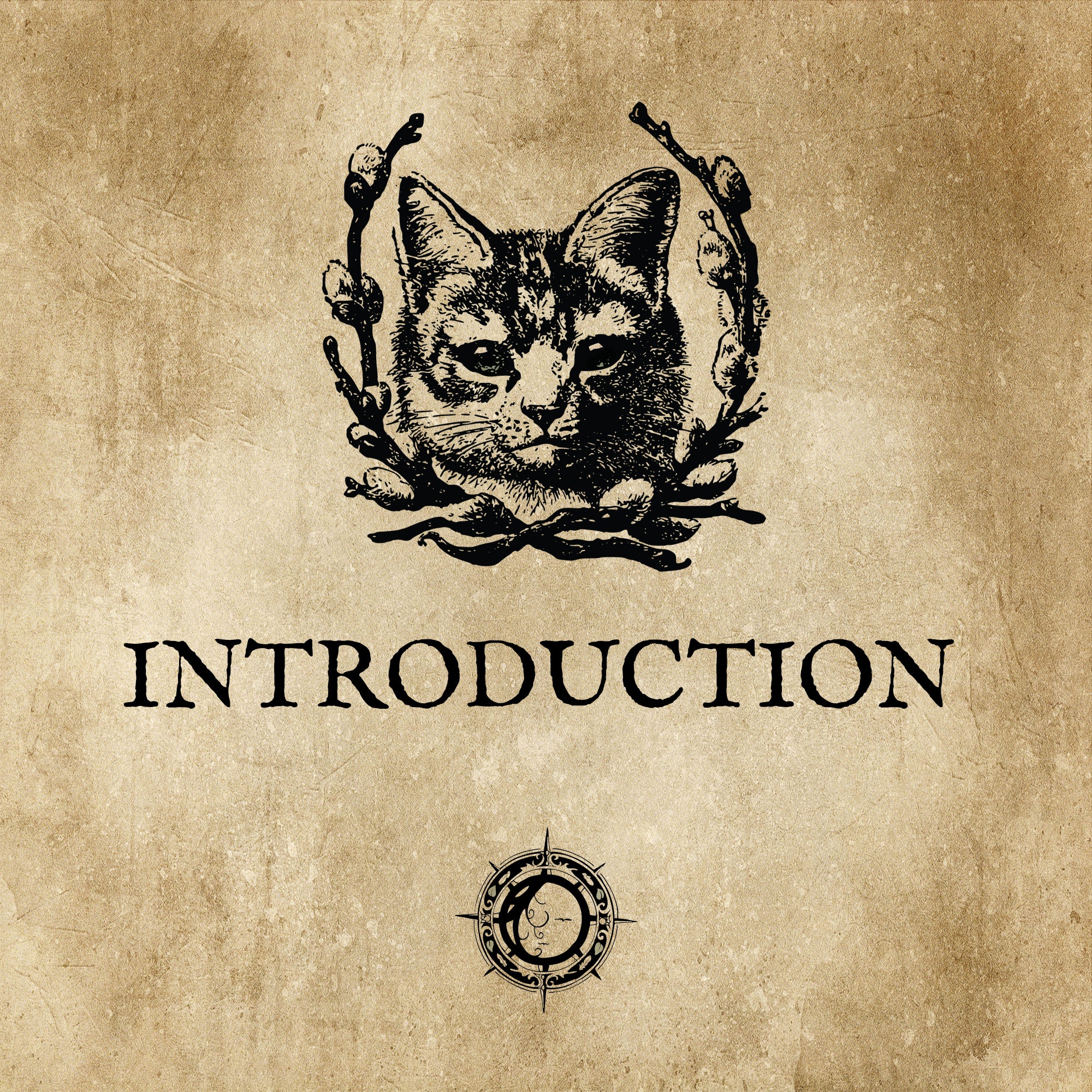 LE CHAT L'HEUREUX GRIMOIRE: Introduction