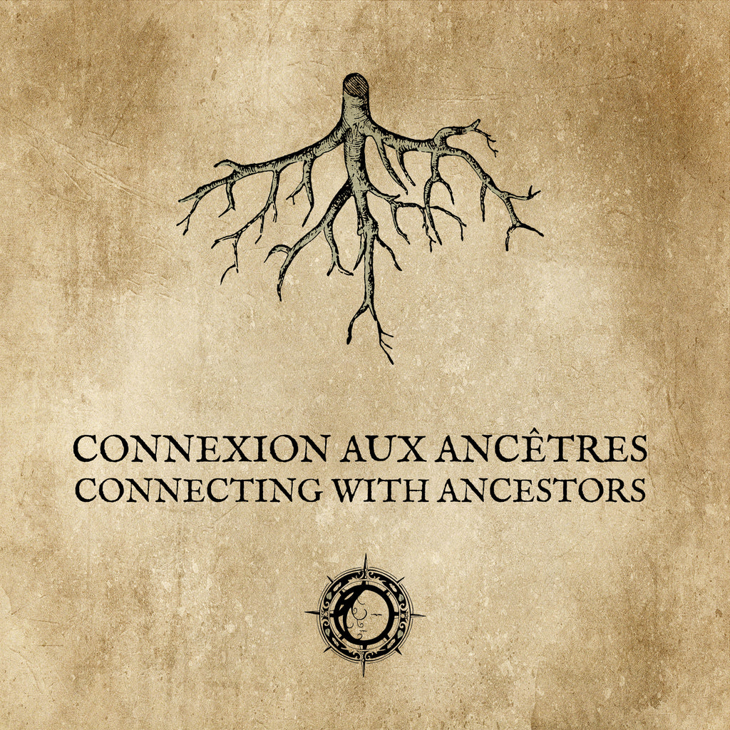 CONNEXION AUX ANCÊTRES : À l'ombre des racines
