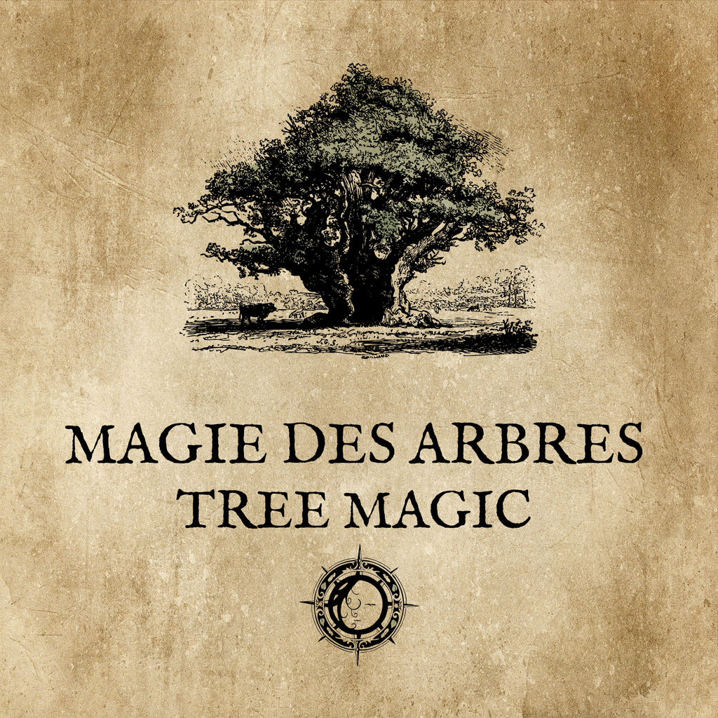 TREE MAGIC: An ancestral magic