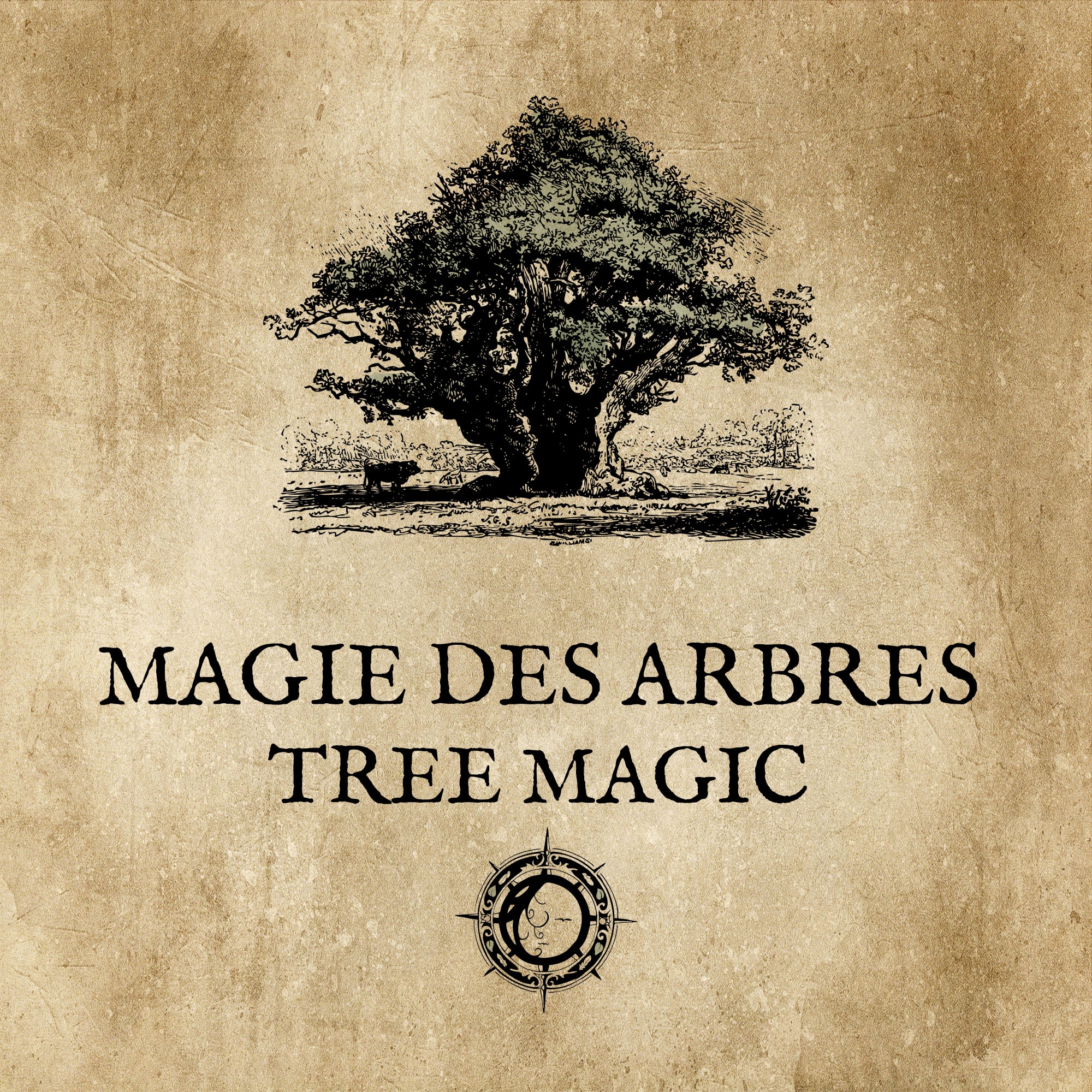 MAGIE DES ARBRES: Une magie ancestrale