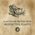 PLANTES DE PROTECTION : Spiritualité, énergie et magie
