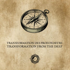TRANSFORMATION DES PROFONDEURS : Une métamorphose introspective