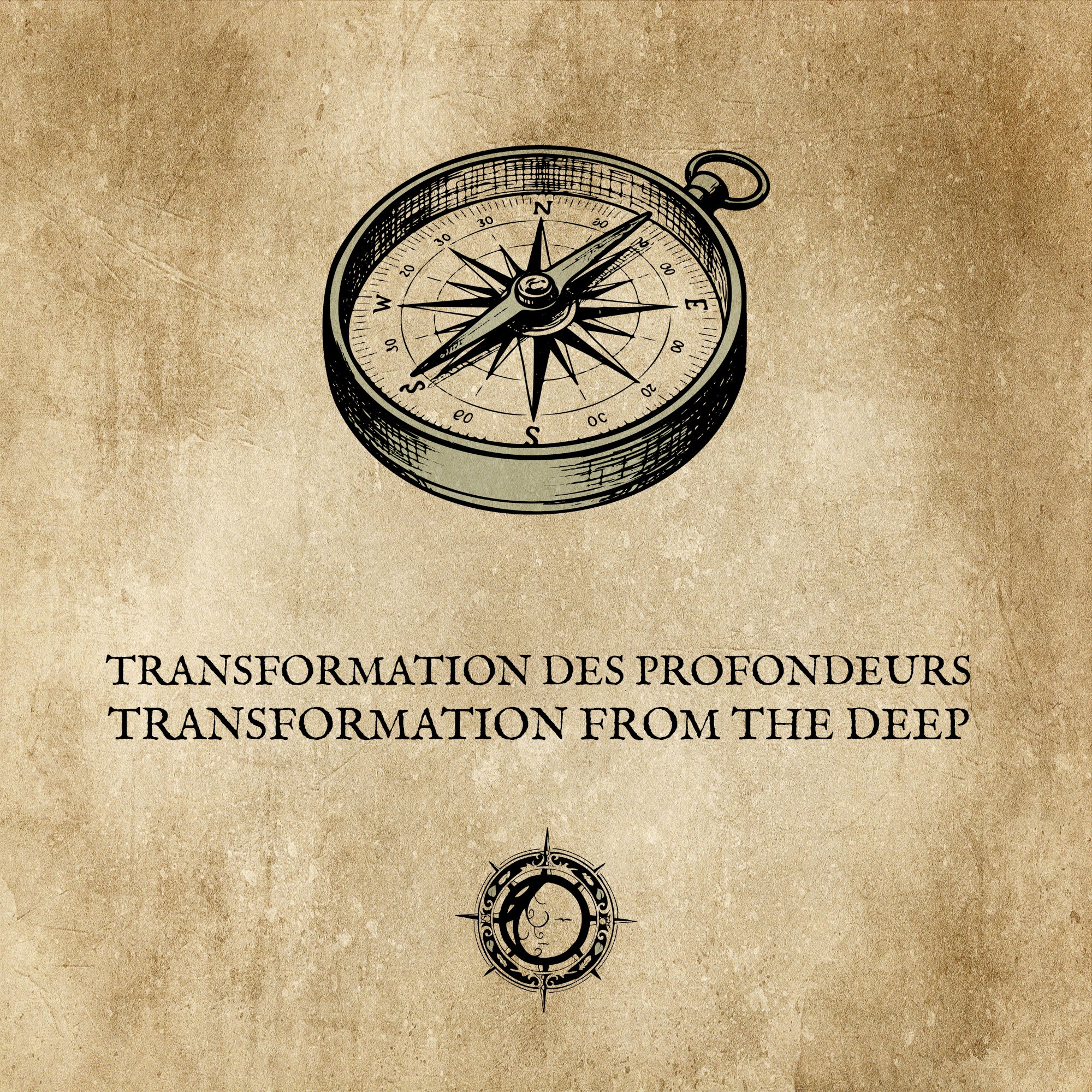 TRANSFORMATION DES PROFONDEURS : Une métamorphose introspective
