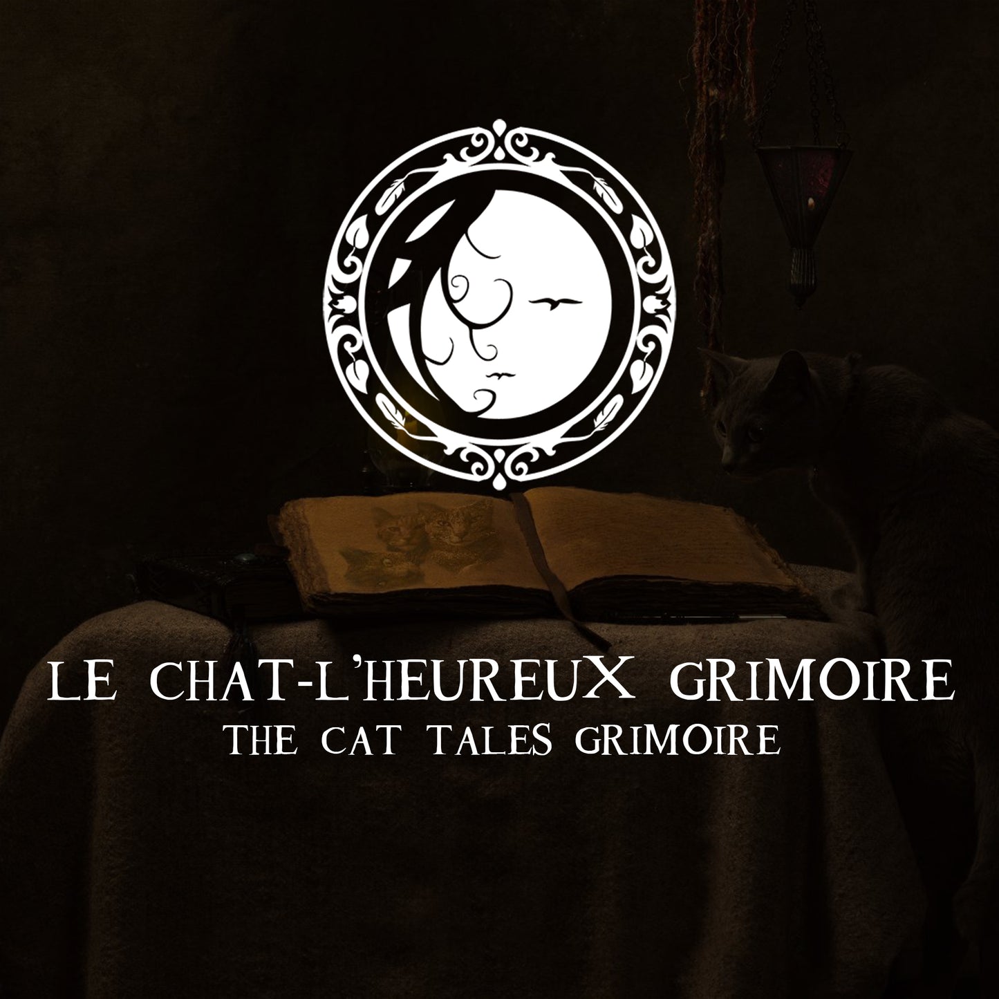 LE CHAT L'HEUREUX GRIMOIRE: Chat-pitre 1