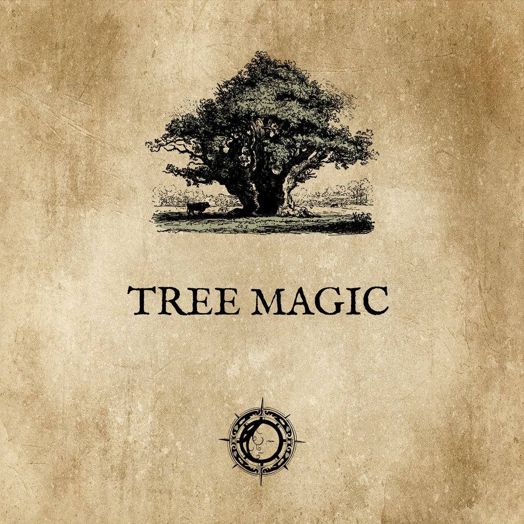 TREE MAGIC: An ancestral magic