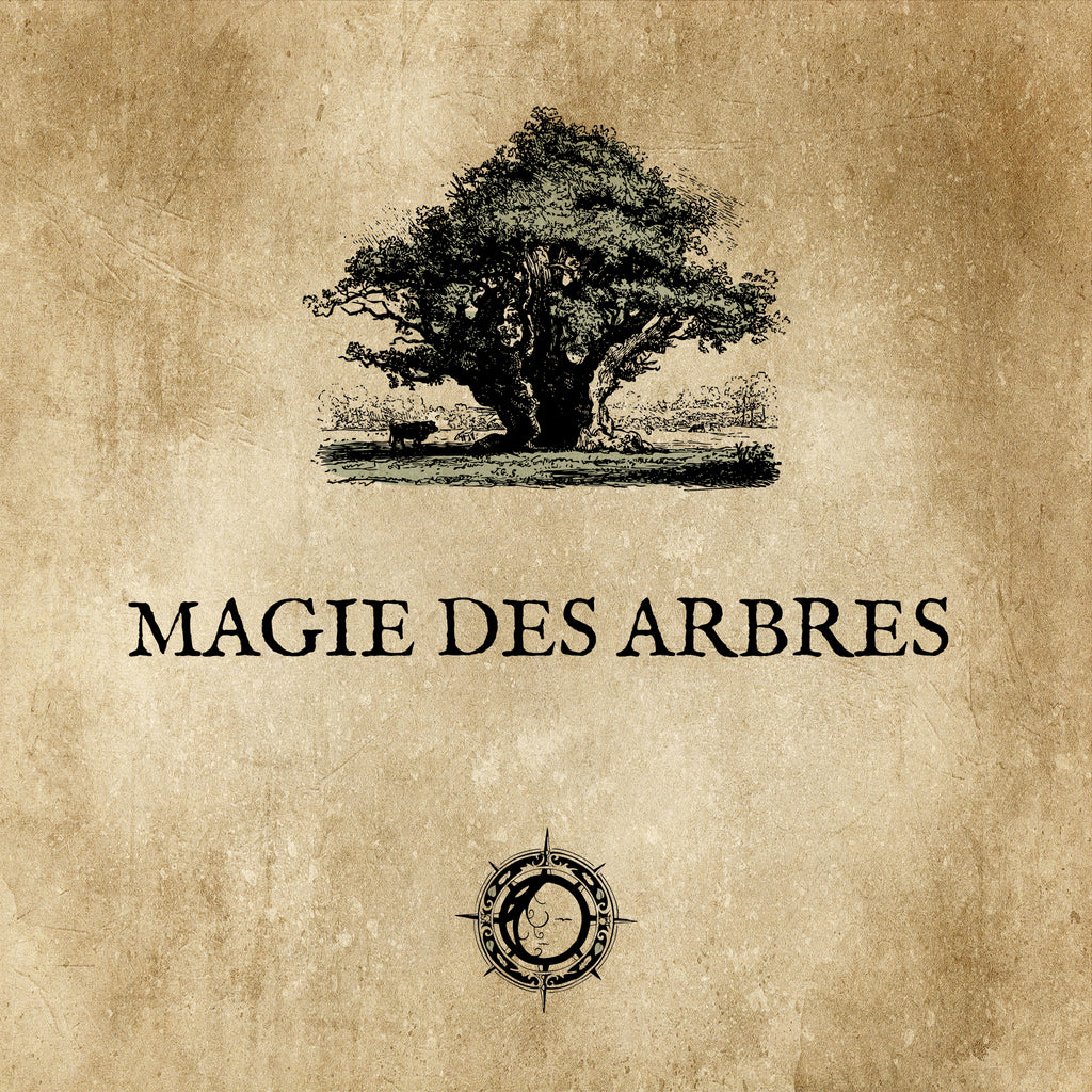 TREE MAGIC: An ancestral magic