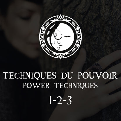 TECHNIQUES DU POUVOIR (Niveaux 1-2-3)