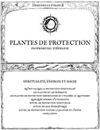 PLANTES DE PROTECTION : Spiritualité, énergie et magie