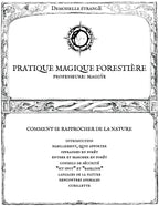 PRATIQUE MAGIQUE FORESTIÈRE : Comment se rapprocher de la nature