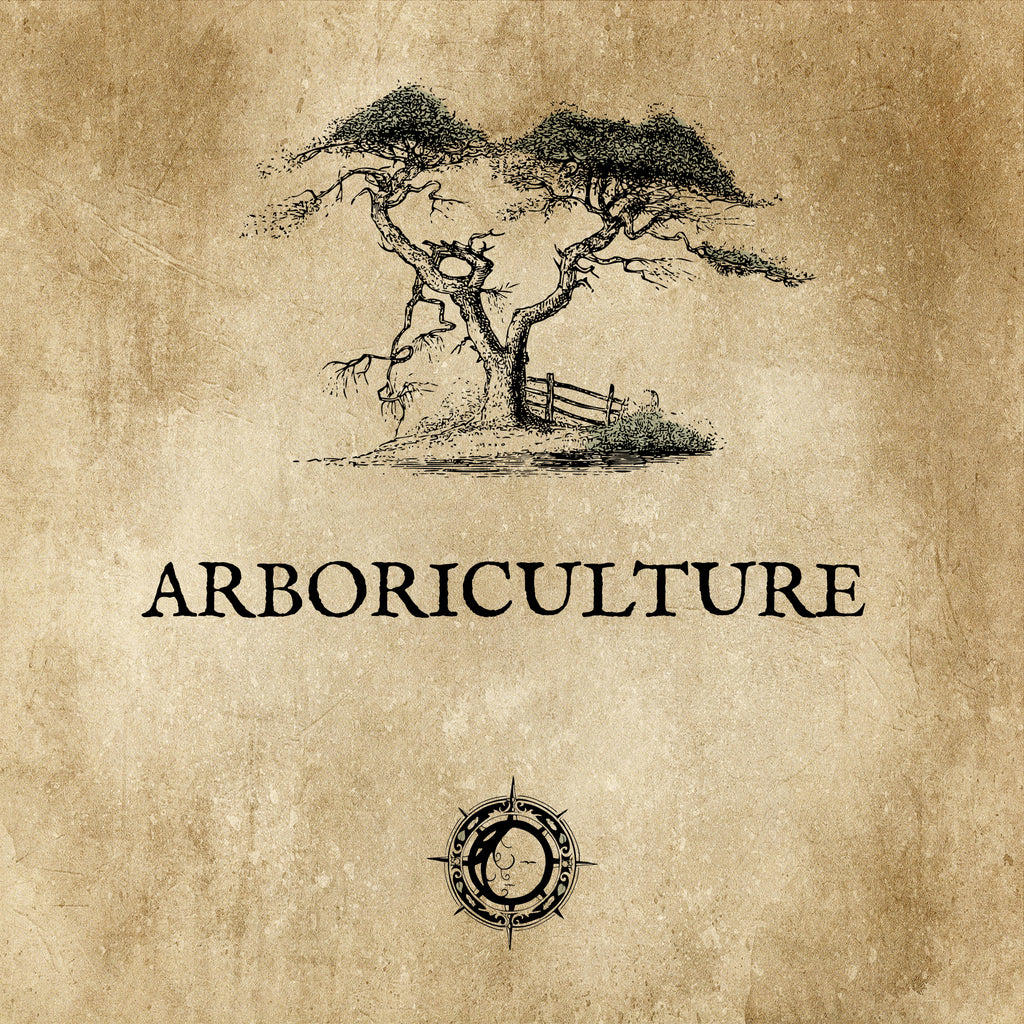 ART-BORISTERIE: Vert mature, au cœur de la forêt