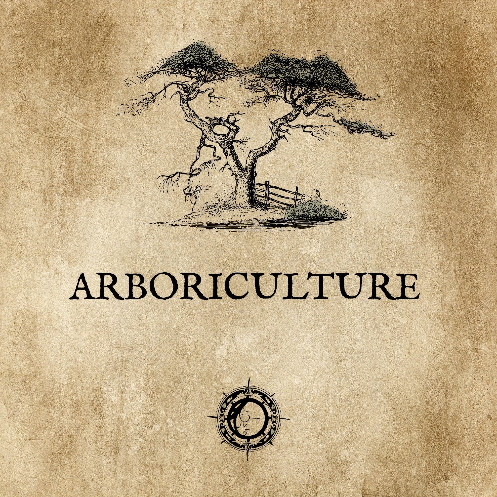 ART-BORISTERIE: Vert mature, au cœur de la forêt