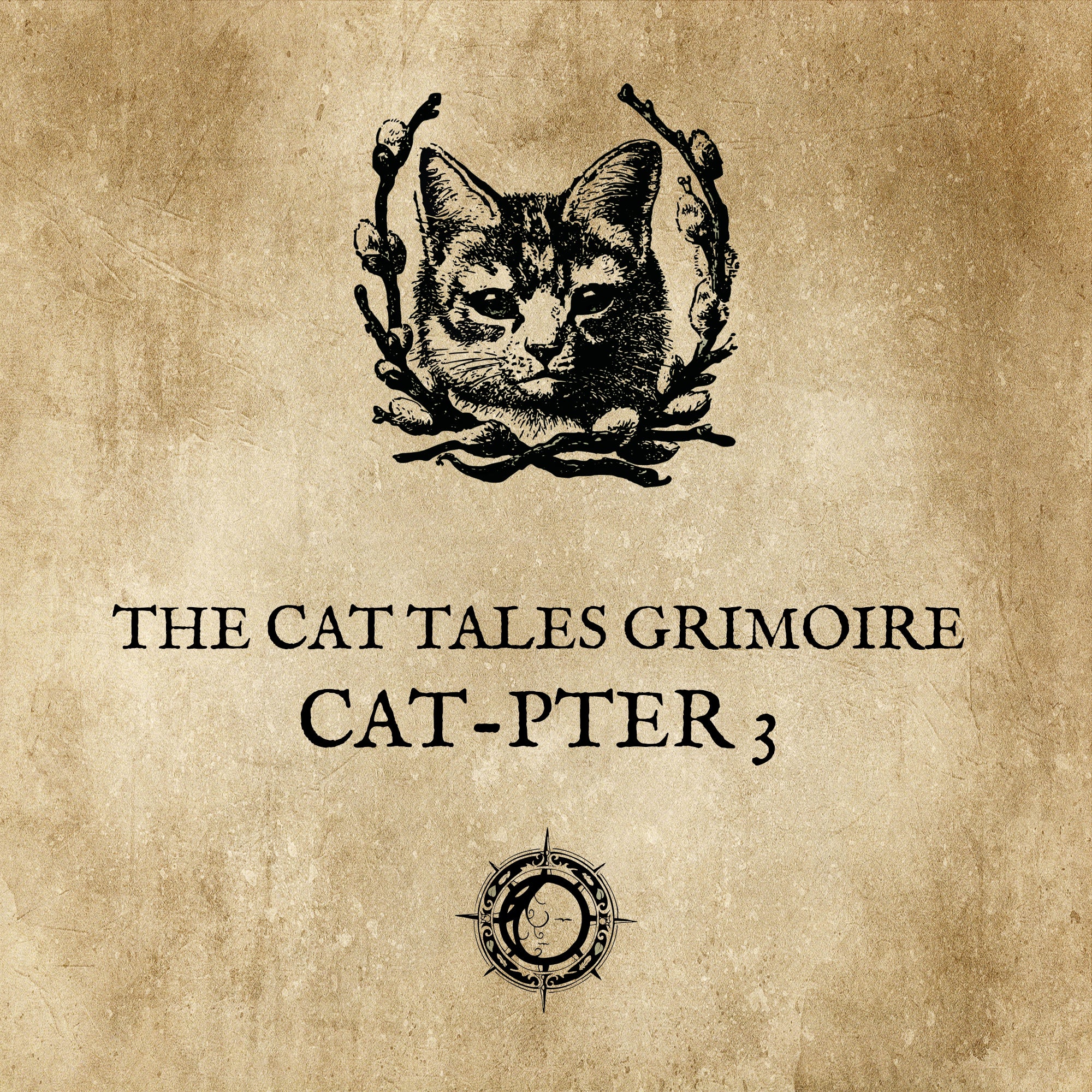 LE CHAT L'HEUREUX GRIMOIRE: Chat-pitre 3