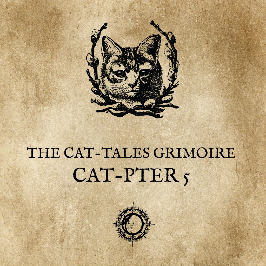 LE CHAT L'HEUREUX GRIMOIRE: Chat-pitre 5