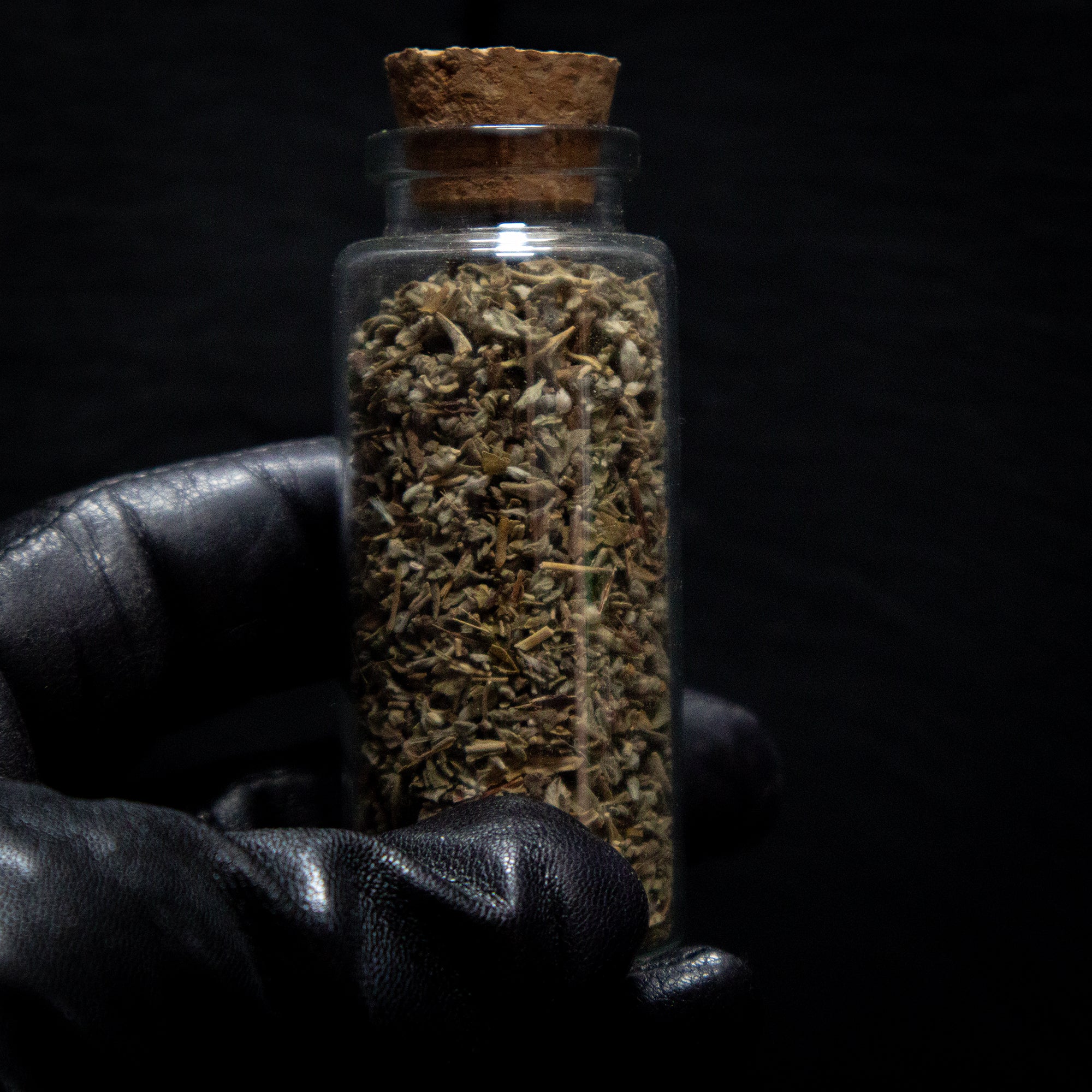 DAMIANA simple herb