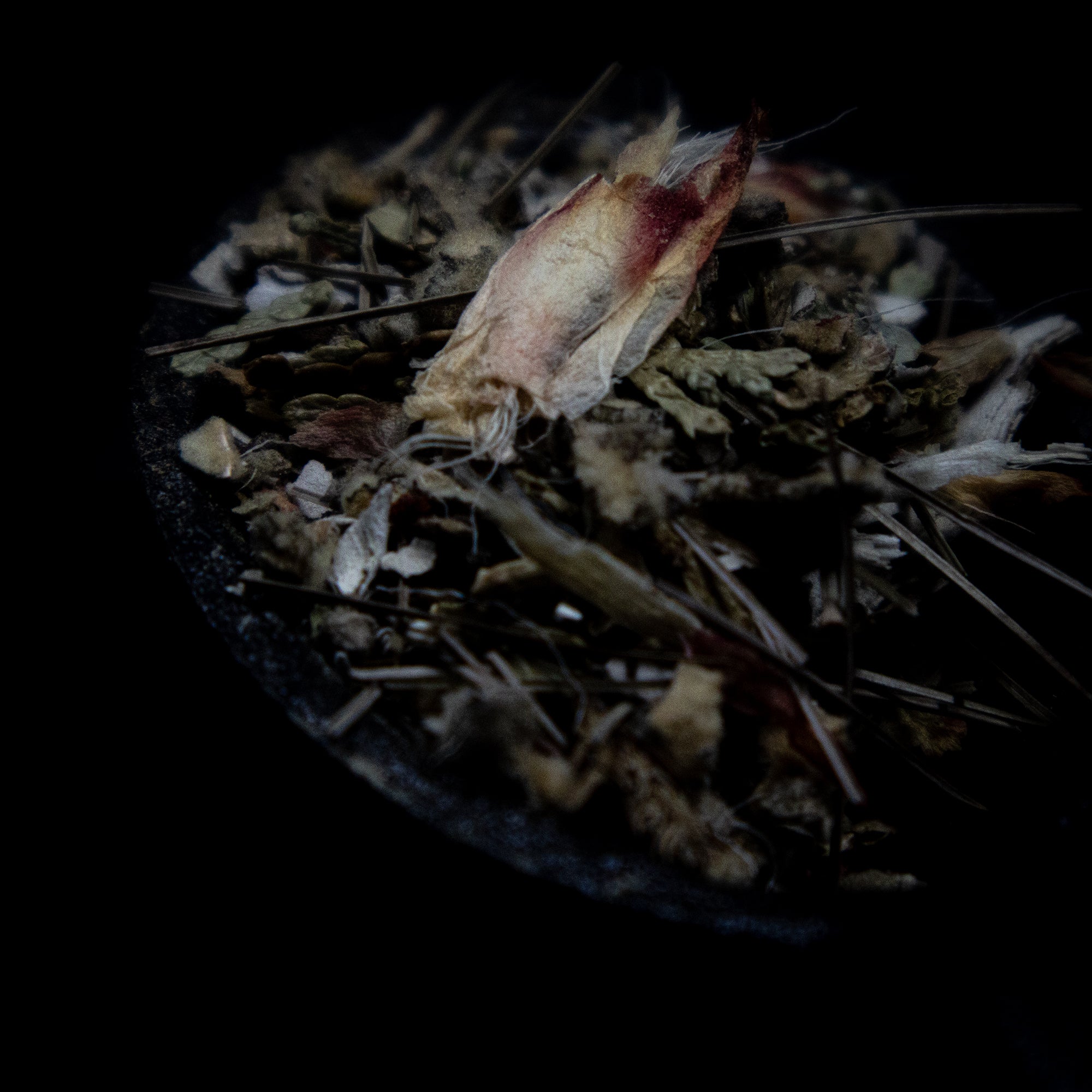 Mélange d'herbes GUÉRISON