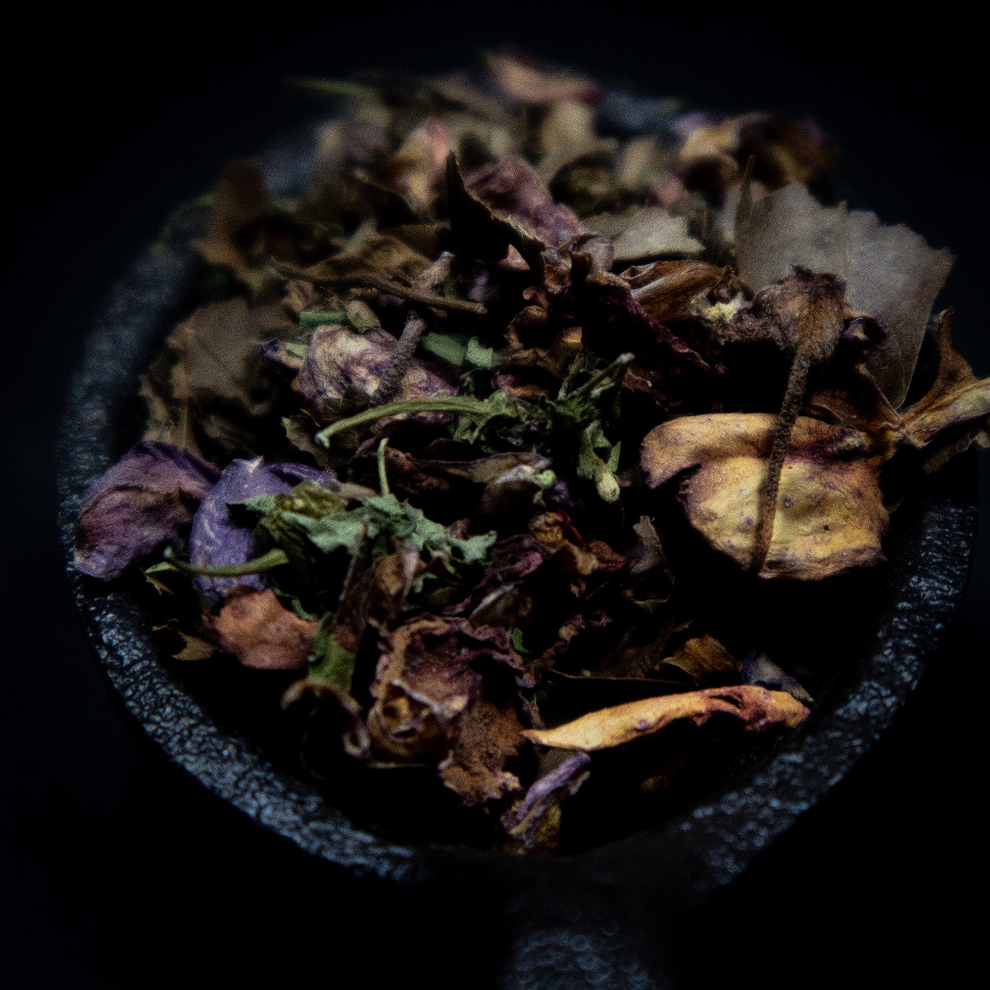 PROTECTION herbal blend