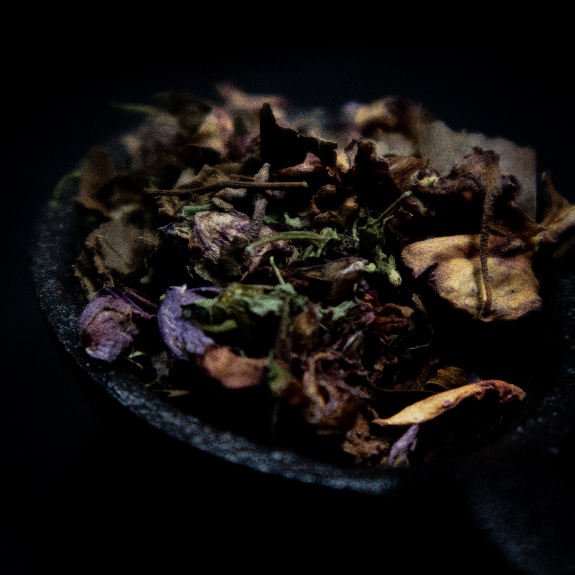 PROTECTION herbal blend