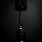 Macérat du CHAT-MANE