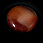 Pierre de Souci CORNALINE