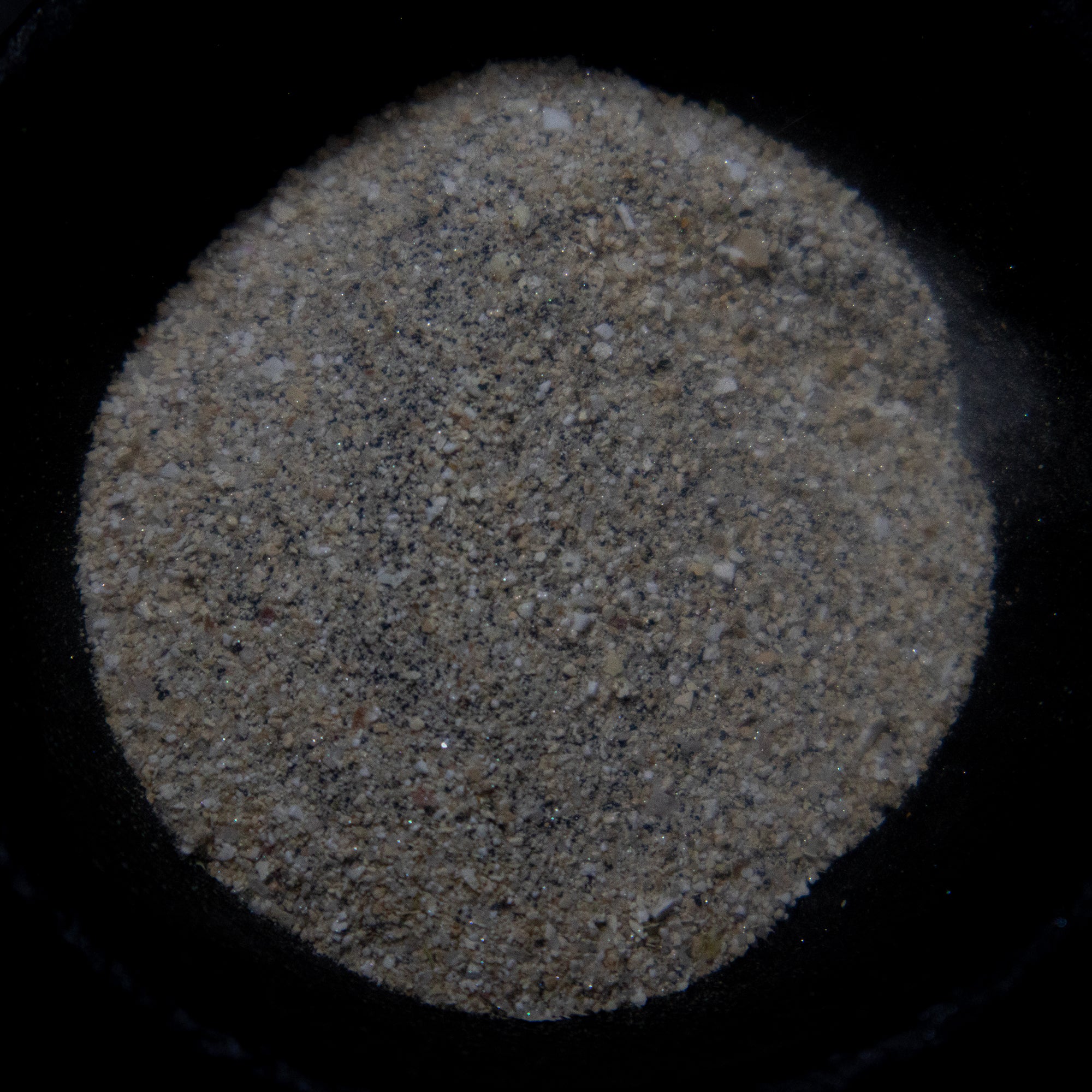 PROTECTION herbs powder